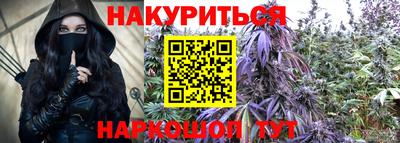 сатива Кингисепп