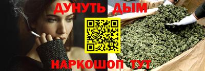 сатива Кингисепп