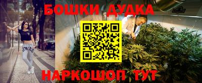 сатива Кингисепп