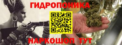 сатива Кингисепп