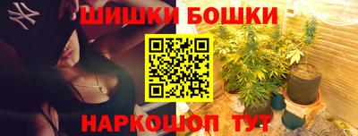 сатива Кингисепп