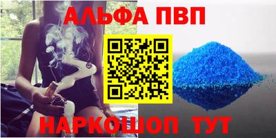 сатива Кингисепп