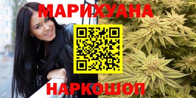 сатива Кингисепп
